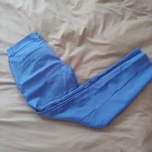 Express columnist ankle pant